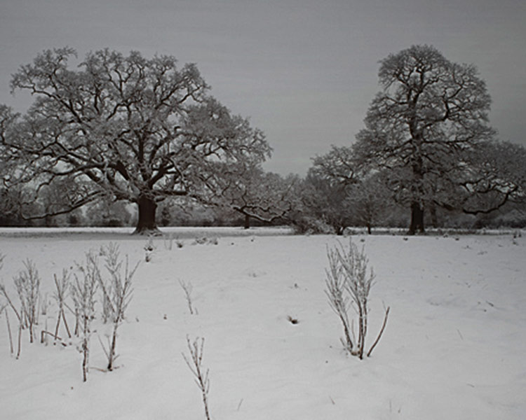 Photography Guid